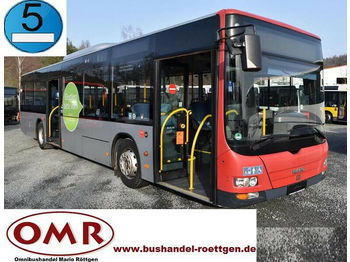 Pilsētas autobuss MAN A 37 Lion´s City/A20/A21/530/Citaro: foto 1