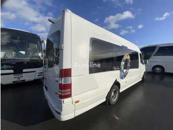 Mikroautobuss, Pasažieru furgons Mercedes Sprinter 519 CDI: foto 4