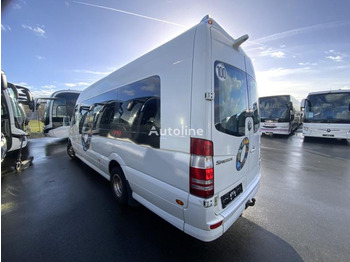 Mikroautobuss, Pasažieru furgons Mercedes Sprinter 519 CDI: foto 3