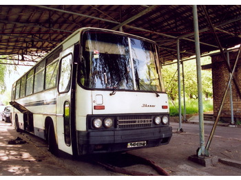 IKARUS 250.59 - Starppilsētu autobuss