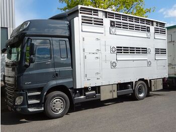 Jaunā Kravas automašīna dzīvnieku pārvadāšanai DAF CF 430 SC Pezzaioli 2 Stock Hubdach *NEU*: foto 1