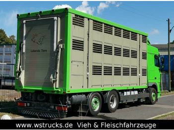 Kravas automašīna dzīvnieku pārvadāšanai DAF  XF 105/460 SC Menke 3 Stock Hubdach: foto 1