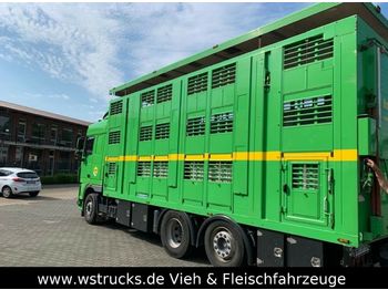 Kravas automašīna dzīvnieku pārvadāšanai DAF XF 105/460 SC Menke 3 Stock Hubdach: foto 1