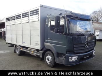 Kravas automašīna dzīvnieku pārvadāšanai pārvadāšana dzīvnieku Mercedes-Benz 821L" Neu" WST Edition" Menke Einstock Vollalu: foto 1