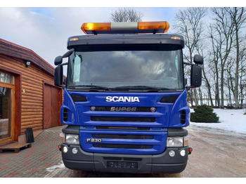 Scania Scania P280, 4x2, LIFTDUMPER  - Būvgružu konteineru vedējs: foto 5
