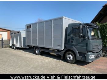 Furgons Mercedes-Benz 821L" Neu" WST Edition" Menke Einstock Vollalu