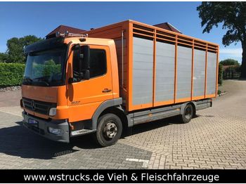 Furgons Mercedes-Benz 822 L mit Eckstein Einstock