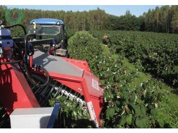 Jaunā Kombains Jagoda Beeren Erntemaschine/ Berries harvester/Cosechadora: foto 1