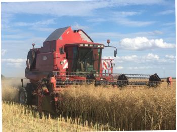 Labības kombains Case IH 2388 EXCLUSIVE AFS 4X4