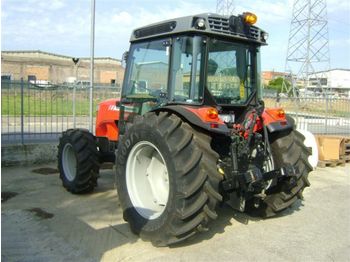 MASSEY FERGUSON 3655 frutteto dt - Traktors