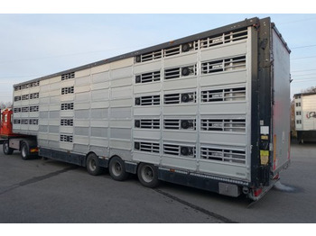 Puspiekabe dzīvnieku pārvadāšanai Pezzaioli SBA32/G , 5 Stock , Viehtransporter  , Tränkeranlage,: foto 2