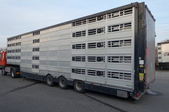 Puspiekabe dzīvnieku pārvadāšanai Pezzaioli SBA32/G , 5 Stock , Viehtransporter  , Tränkeranlage,: foto 2