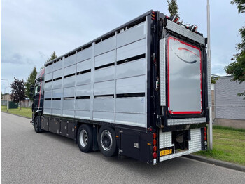 DAF XF 460 2017 berdex 3 lagen varkens - Kravas automašīna dzīvnieku pārvadāšanai: foto 2