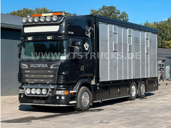 Scania R730 V8 6x2 2.Stock Stehmann + Hubdach, Vollluft  - Kravas automašīna dzīvnieku pārvadāšanai: foto 1