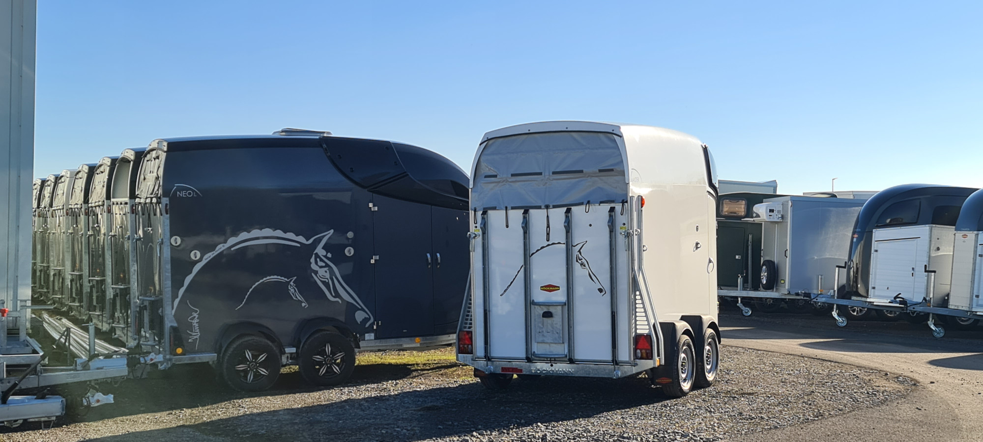 Rosemeier GmbH Anhaenger-Centrum undefined: foto 6