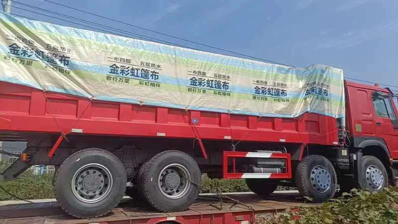 Toaks International Trading Company - Vilcēji SINOTRUK - Gads: 2020 undefined: foto 19