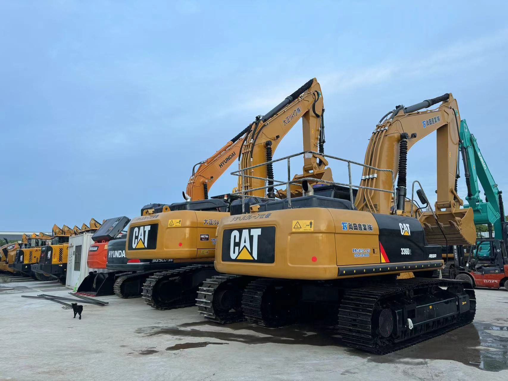 Sunight Development Company Limited - Vilcēji - Euro 2 undefined: foto 2