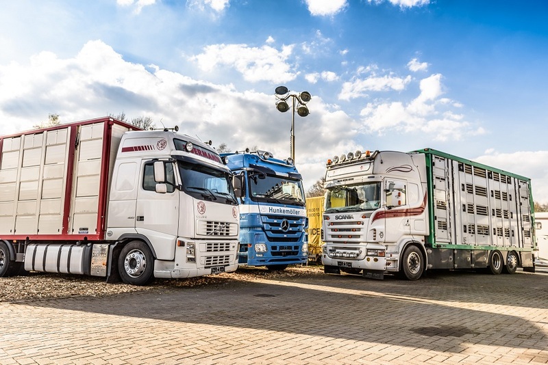 WS Trucks GmbH - Kravas automašīnas undefined: foto 1