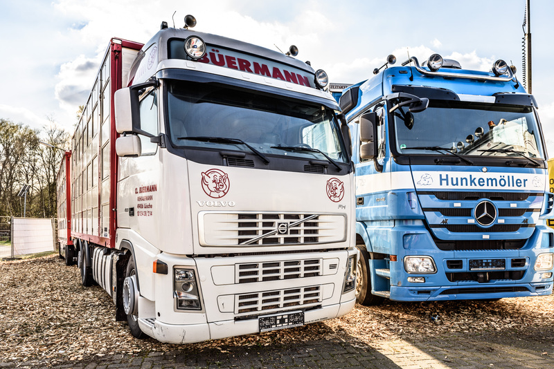 WS Trucks GmbH - pārdošanas sludinājumi undefined: foto 2