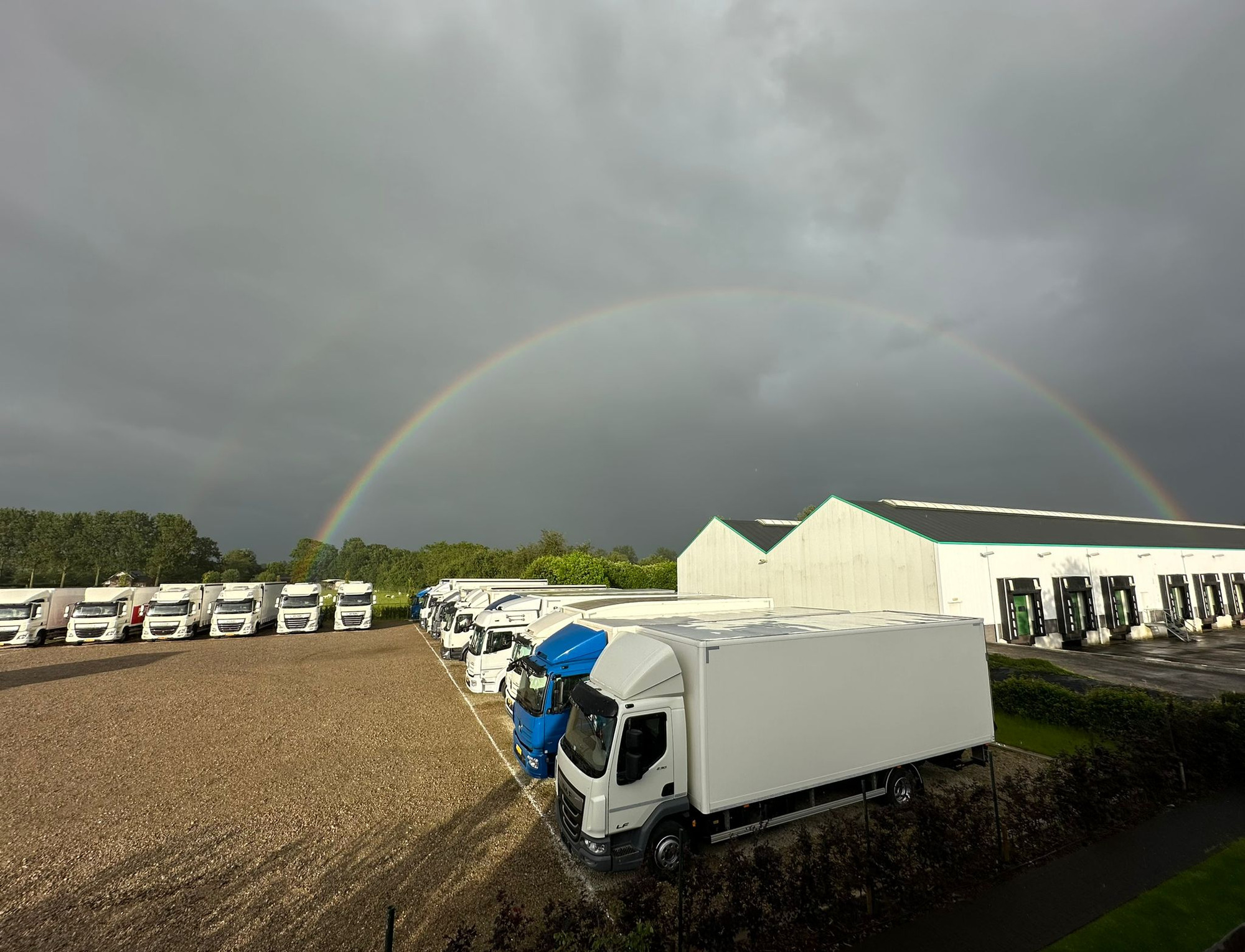 HANDELSONDERNEMING MARTIN VOS V.O.F. - pārdošanas sludinājumi undefined: foto 2