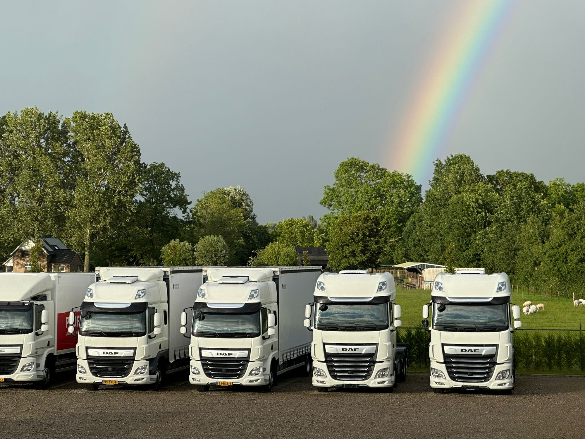 HANDELSONDERNEMING MARTIN VOS V.O.F. - pārdošanas sludinājumi undefined: foto 1