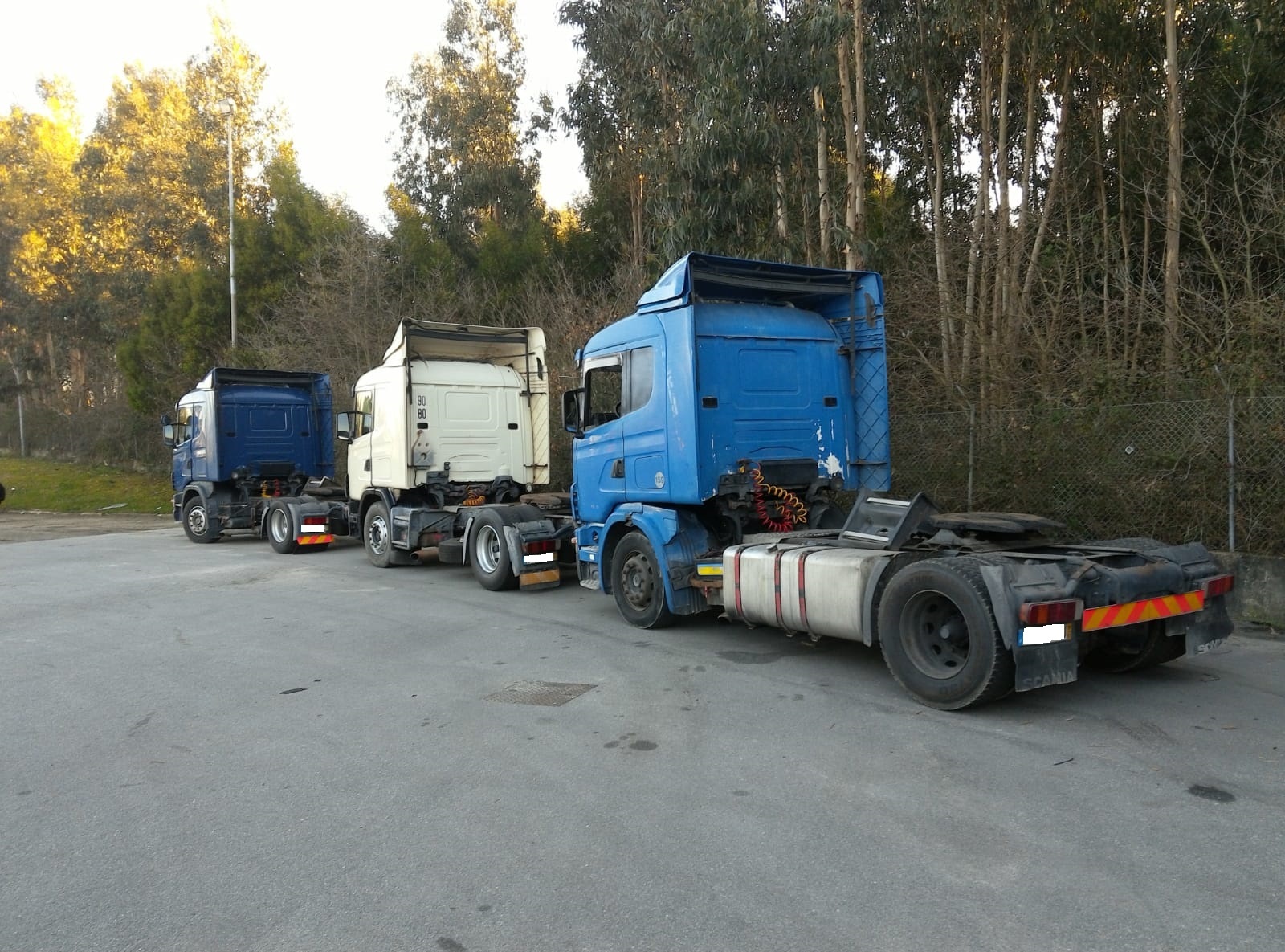Britannia Export Consultants Limited - pārdošanas sludinājumi undefined: foto 17