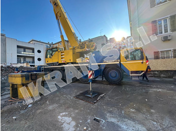 Visurgājējs celtnis LIEBHERR LTM 1100/2