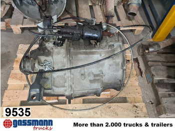 : fotogrāfija galvenē