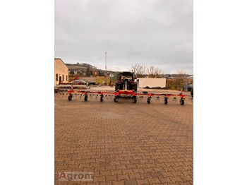 : fotogrāfija galvenē