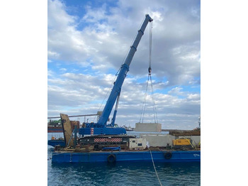Kāpurķēžu celtnis LIEBHERR