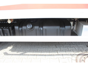 Kravas automašīna refrižerators Daf LF 260 E6  Carrier Supra 550   Strom  Tür   LBW: foto 4