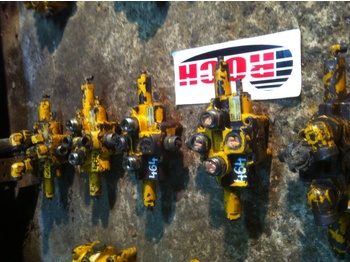 : fotogrāfija galvenē