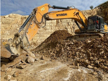 Kāpurķēžu ekskavators HYUNDAI