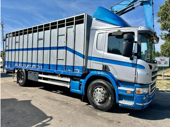 Kravas automašīna dzīvnieku pārvadāšanai SCANIA P 310