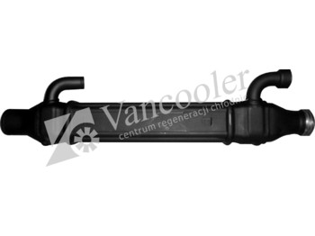 : fotogrāfija galvenē