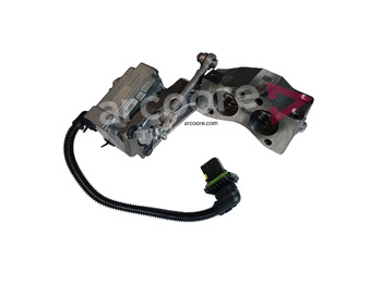 : fotogrāfija galvenē