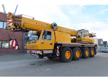 Visurgājējs celtnis GROVE