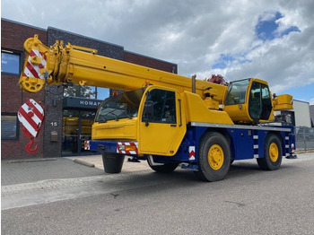 Visurgājējs celtnis TEREX