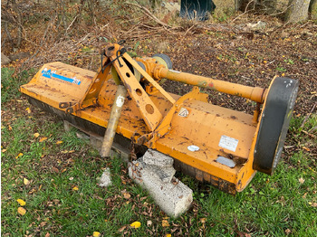 : fotogrāfija galvenē