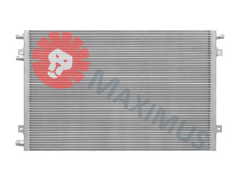 : fotogrāfija galvenē