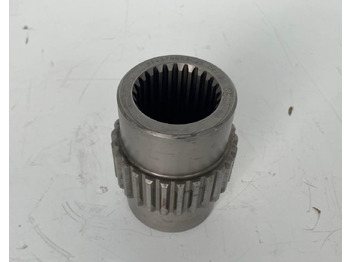 : fotogrāfija galvenē