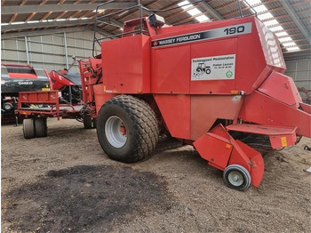 : fotogrāfija galvenē