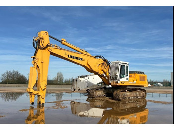 Liebherr R 954 B HD Litronic Demolition Excavator  līzingu Liebherr R 954 B HD Litronic Demolition Excavator: foto 2