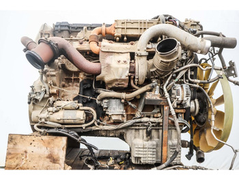 : fotogrāfija galvenē