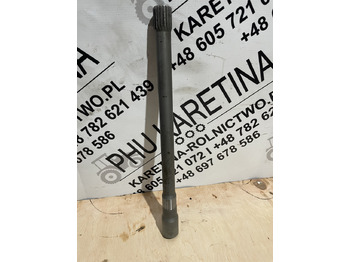 : fotogrāfija galvenē