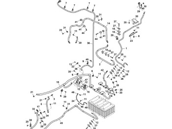 : fotogrāfija galvenē