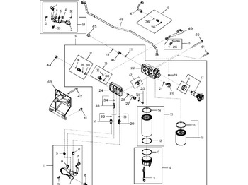 : fotogrāfija galvenē