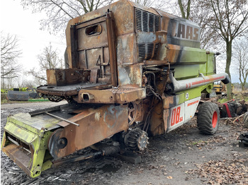 : fotogrāfija galvenē