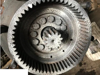 : fotogrāfija galvenē