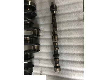 Sadales vārpsta PERKINS